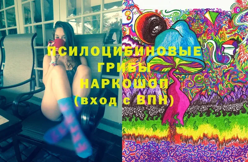 Галлюциногенные грибы Psilocybe  Нариманов 